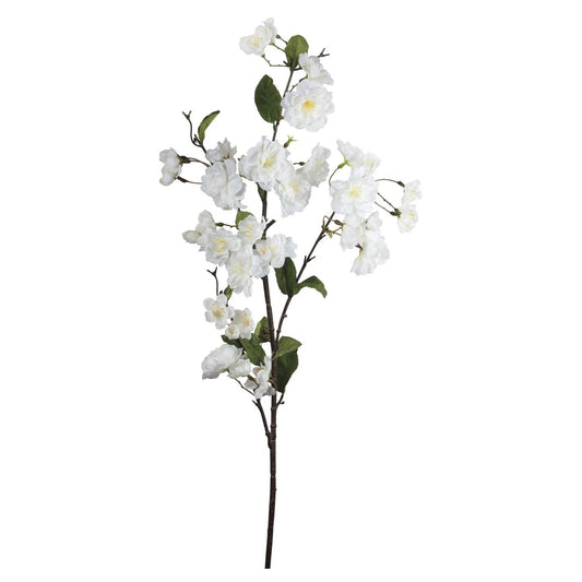 Cherry Blossom Branch